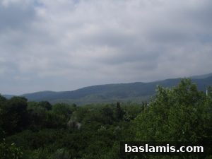 Başlamış Köyü Fotoğrafı 3