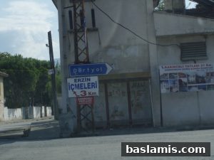 Başlamış Köyü Fotoğrafı 5