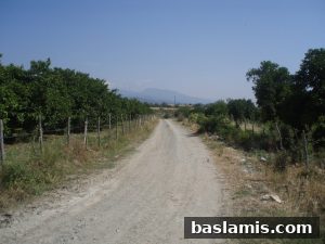 Başlamış Köyü Fotoğrafı 8