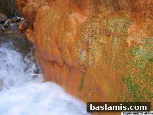 Başlamış Köyü Fotoğrafı 10