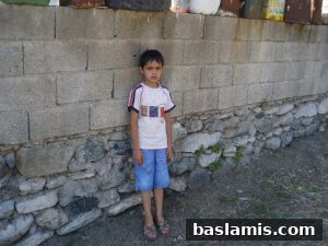 Başlamış Köyü Fotoğrafı 11
