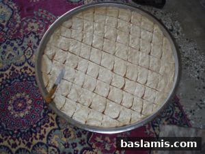 Başlamış Köyü Fotoğrafı 15