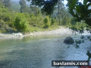 Başlamış Köyü Fotoğrafı 17