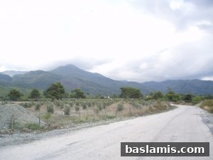 Başlamış Köyü Fotoğrafı 27