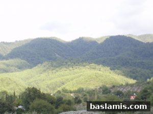 Başlamış Köyü Fotoğrafı 29