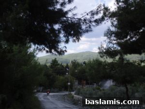 Başlamış Köyü Fotoğrafı 30