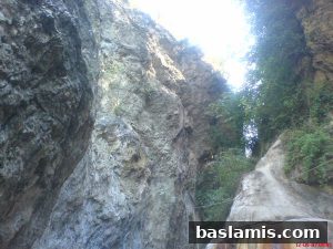 Başlamış Köyü Fotoğrafı 33