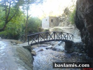 Başlamış Köyü Fotoğrafı 36