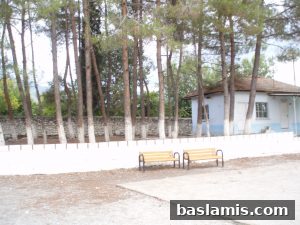 Başlamış Köyü Fotoğrafı 41