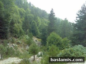 Başlamış Köyü Fotoğrafı 49