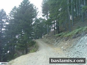 Başlamış Köyü Fotoğrafı 50