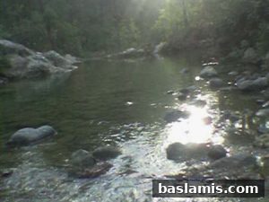 Başlamış Köyü Fotoğrafı 51