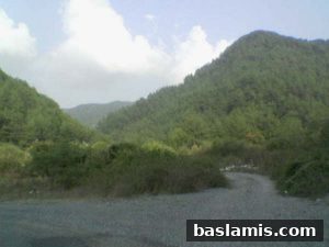 Başlamış Köyü Fotoğrafı 52