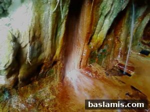 Başlamış Köyü Fotoğrafı 57