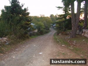 Başlamış Köyü Fotoğrafı 70