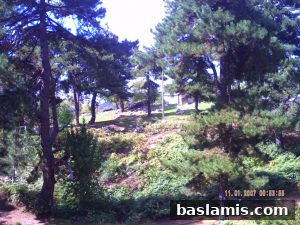 Başlamış Köyü Fotoğrafı 71