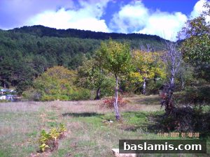 Başlamış Köyü Fotoğrafı 79