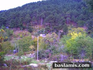 Başlamış Köyü Fotoğrafı 82