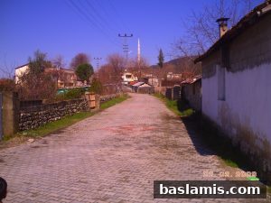 Başlamış Köyü Fotoğrafı 89