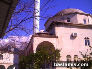 Başlamış Köyü Fotoğrafı 104