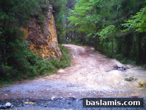 Başlamış Köyü Fotoğrafı 131