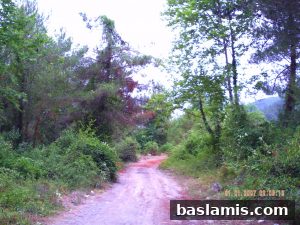 Başlamış Köyü Fotoğrafı 135