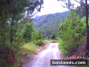 Başlamış Köyü Fotoğrafı 137