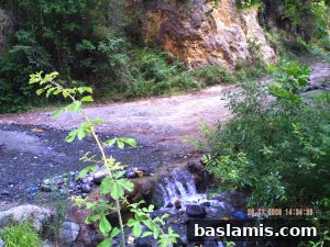 Başlamış Köyü Fotoğrafı 138