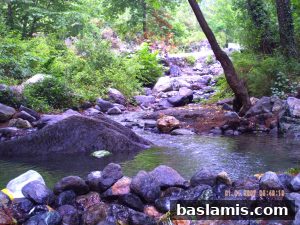 Başlamış Köyü Fotoğrafı 140