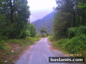 Başlamış Köyü Fotoğrafı 142