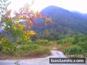 Başlamış Köyü Fotoğrafı 145