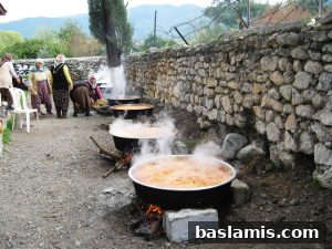 Başlamış Köyü Fotoğrafı 157
