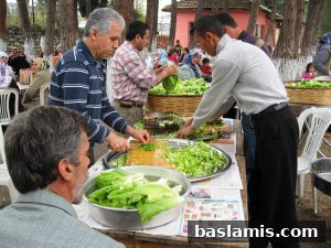 Başlamış Köyü Fotoğrafı 158