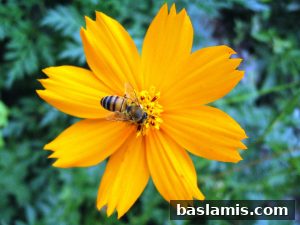 Başlamış Köyü Fotoğrafı 174