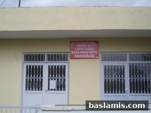 Başlamış Köyü Fotoğrafı 178