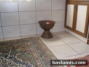 Başlamış Köyü Fotoğrafı 183