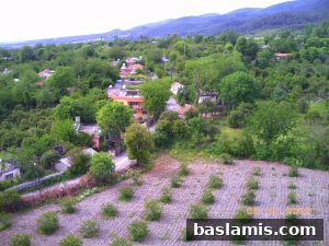 Başlamış Köyü Fotoğrafı 195