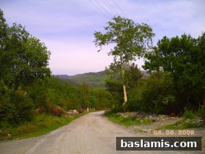 Başlamış Köyü Fotoğrafı 200