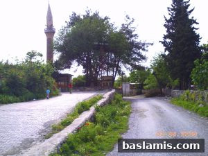 Başlamış Köyü Fotoğrafı 201